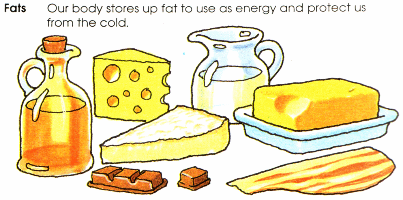 Fats and oils - Marianne Gutierrez