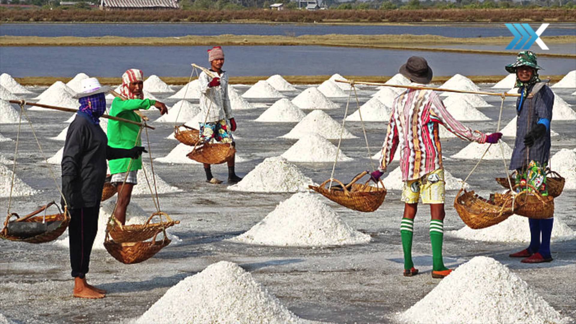 Salt Is Essential For Life Lack Of Salt Causes Death Marianne Gutierrez salt-is-essential-for-life-lack-of-salt-causes-death-marianne-gutierrez